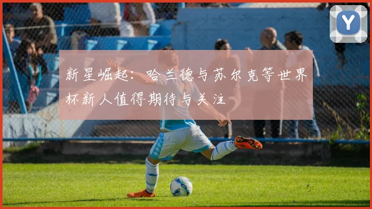 新星崛起：哈兰德与苏尔克等世界杯新人值得期待与关注