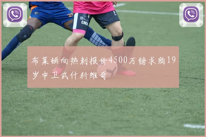 布莱顿向热刺报价4500万镑求购19岁中卫武什科维奇